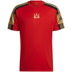 Kleidung Herren T-Shirts & Poloshirts adidas Originals HE5044 Rot