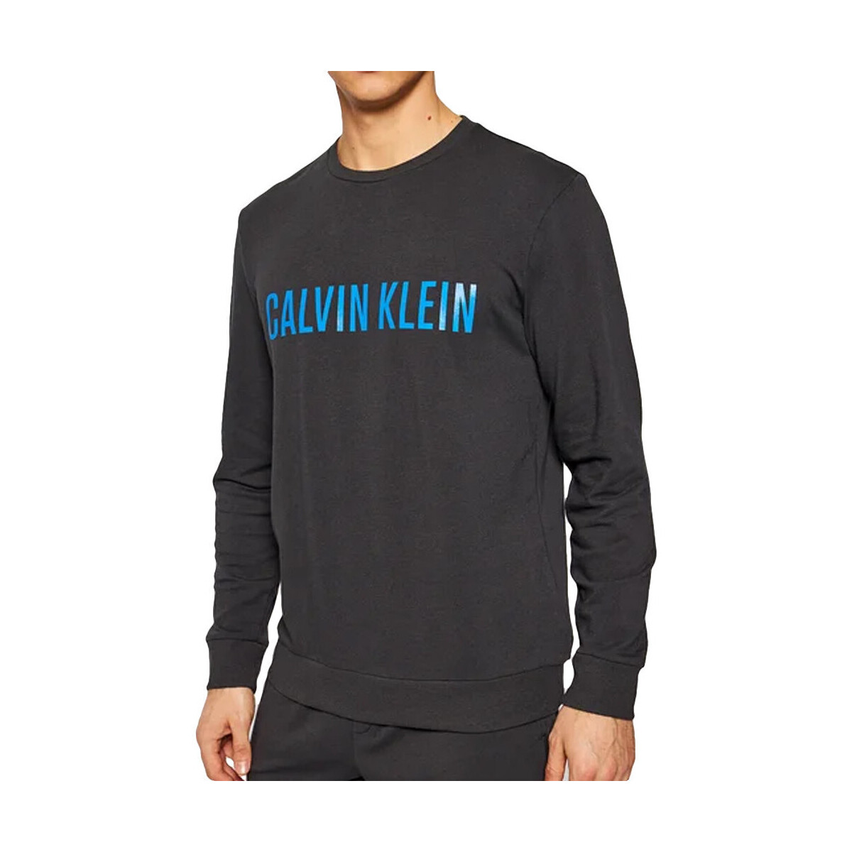 Kleidung Herren Sweatshirts Calvin Klein Jeans 000NM1960E Schwarz