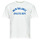 Kleidung Herren T-Shirts New Balance ATHLETICS DEPT TEE Weiss