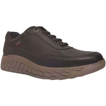 Schuhe Herren Derby-Schuhe & Richelieu CallagHan 50908-marrone Braun
