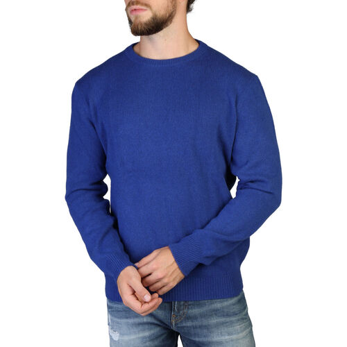 Kleidung Herren Pullover 100% Cashmere - c-neck-m Blau