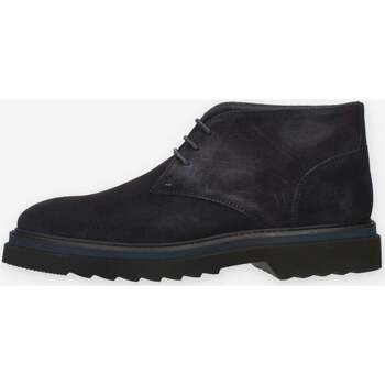 Schuhe Herren Derby-Schuhe Harmont & Blaine EFM232.091.5200 Blau