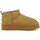 Schuhe Damen Stiefel Colors of California  Braun