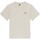 Kleidung Herren T-Shirts & Poloshirts Dickies Ss Mapleton Tee Weiss
