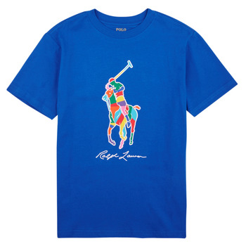 Kleidung Jungen T-Shirts Polo Ralph Lauren SS CN-KNIT SHIRTS-T-SHIRT Blau / Heritage / Blau