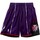 Kleidung Herren Shorts / Bermudas Mitchell And Ness  Violett