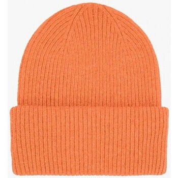 Accessoires Damen Hüte Colorful Standard  Orange
