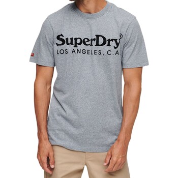 Kleidung Herren T-Shirts Superdry 223873 Blau