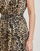 Kleidung Damen Kurze Kleider Guess SL ROMANA FLARE Leopard