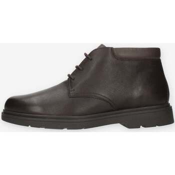 Schuhe Herren Richelieu Geox U36D1B-00046-C6009 Braun