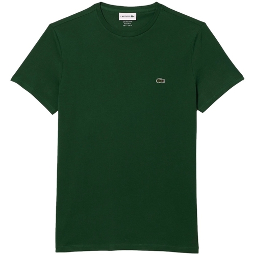 Kleidung Herren T-Shirts & Poloshirts Lacoste Regular Fit T-Shirt - Vert Grün