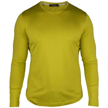 Kleidung Herren T-Shirts & Poloshirts Loro Piana  Grün