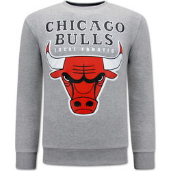 Kleidung Herren Sweatshirts Local Fanatic Chicago Bulls Grau