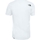Kleidung Herren T-Shirts & Poloshirts The North Face M S/S SIMPLE DOME TEE Weiss