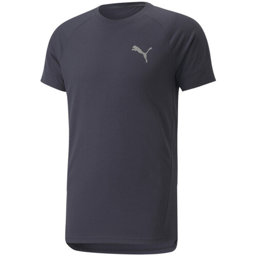 Kleidung Herren T-Shirts & Poloshirts Puma 847394-43 Blau