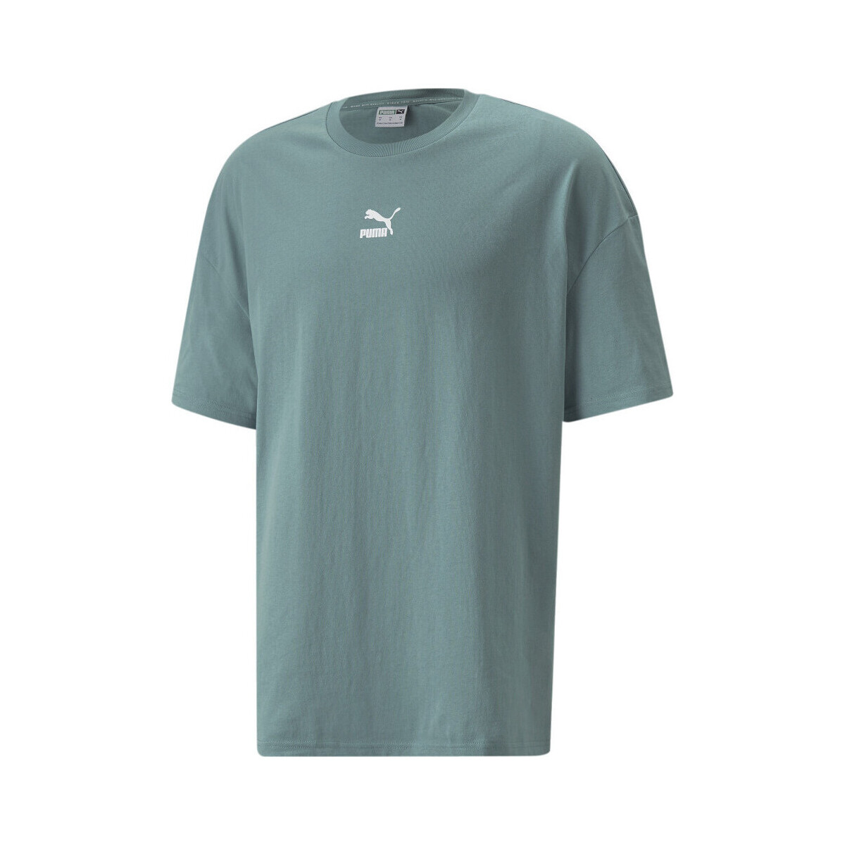 Kleidung Herren T-Shirts & Poloshirts Puma 532135-50 Grün