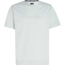 Kleidung Herren T-Shirts & Poloshirts Calvin Klein Jeans Wo - Ss Tee Grün