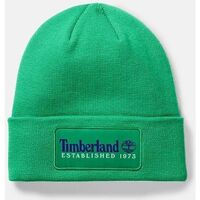Accessoires Hüte Timberland TB0A2PTD ESTABLISHED 1973-H31 CELTIC GREEN Grün