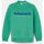 Kleidung Herren Sweatshirts Timberland TB0A65DD LS EST. 1973 CREW BB SWEATSHIRT-ED3 CELTIC GREEN Grün
