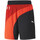 Kleidung Herren Shorts / Bermudas Puma 535112-01 Schwarz