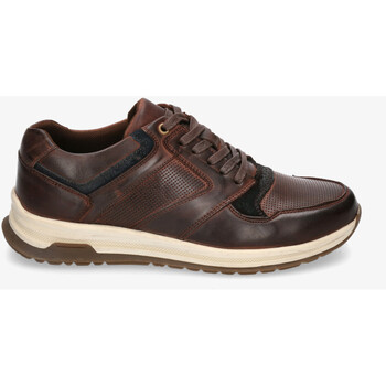 Schuhe Herren Derby-Schuhe & Richelieu Rhostock DB4992-25  JACKS-10 Braun