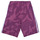 Kleidung Mädchen Shorts / Bermudas Adidas Sportswear LK CAMLOG FT SH Violett