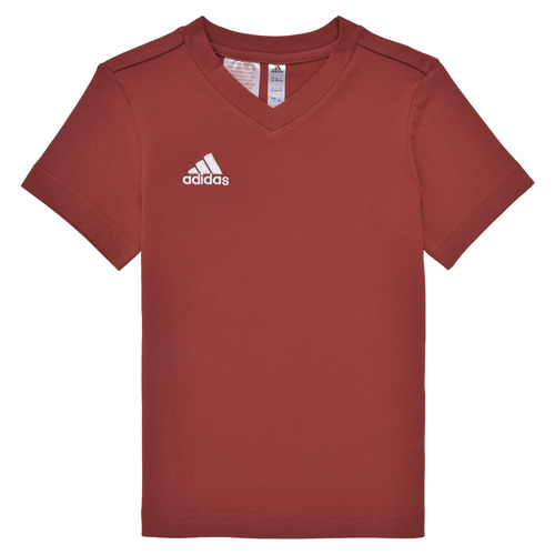 Kleidung Jungen T-Shirts adidas Performance ENT22 TEE Y Rot