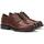 Schuhe Herren Derby-Schuhe & Richelieu Fluchos F1604 Braun