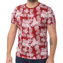 Kleidung Herren T-Shirts & Poloshirts Lee Cooper LEE-011126 Rot