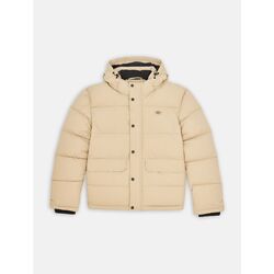 Kleidung Herren Jacken Dickies GLACIER PUFFER - DK0A4Y3W-F95 IRISH CREAM Beige
