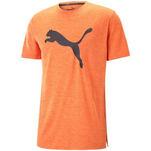 Kleidung Herren T-Shirts & Poloshirts Puma 522352-23 Orange