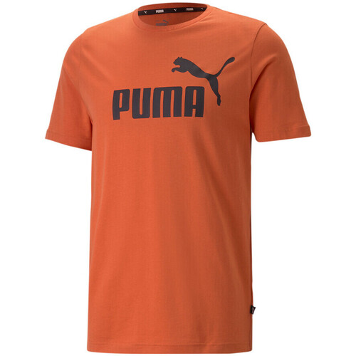 Kleidung Herren T-Shirts & Poloshirts Puma 586667-94 Orange