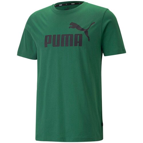 Kleidung Herren T-Shirts & Poloshirts Puma 586667-46 Grün