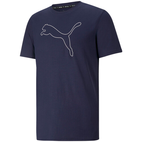 Kleidung Herren T-Shirts & Poloshirts Puma 520315-06 Blau
