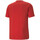 Kleidung Herren T-Shirts & Poloshirts Puma 586759-11 Rot