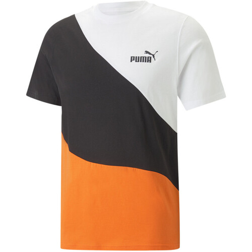 Kleidung Herren T-Shirts & Poloshirts Puma 673380-23 Weiss