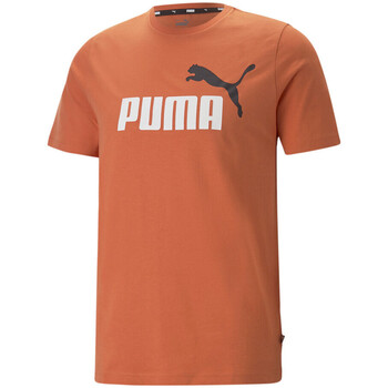 Kleidung Herren T-Shirts & Poloshirts Puma 586759-94 Orange
