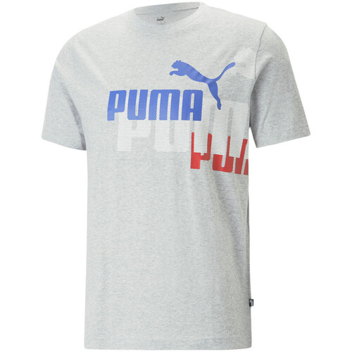 Kleidung Herren T-Shirts & Poloshirts Puma 673378-04 Grau
