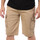 Kleidung Herren Shorts / Bermudas Schott TRSTEELER30 Beige
