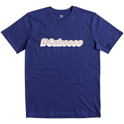 Kleidung Herren T-Shirts & Poloshirts DC Shoes Dc-ARTIFUNCTION EDYZT03743 Blau