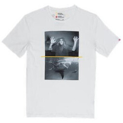 Kleidung Herren T-Shirts & Poloshirts Element -SHARK FLETCHER Q1SSF3 Weiss