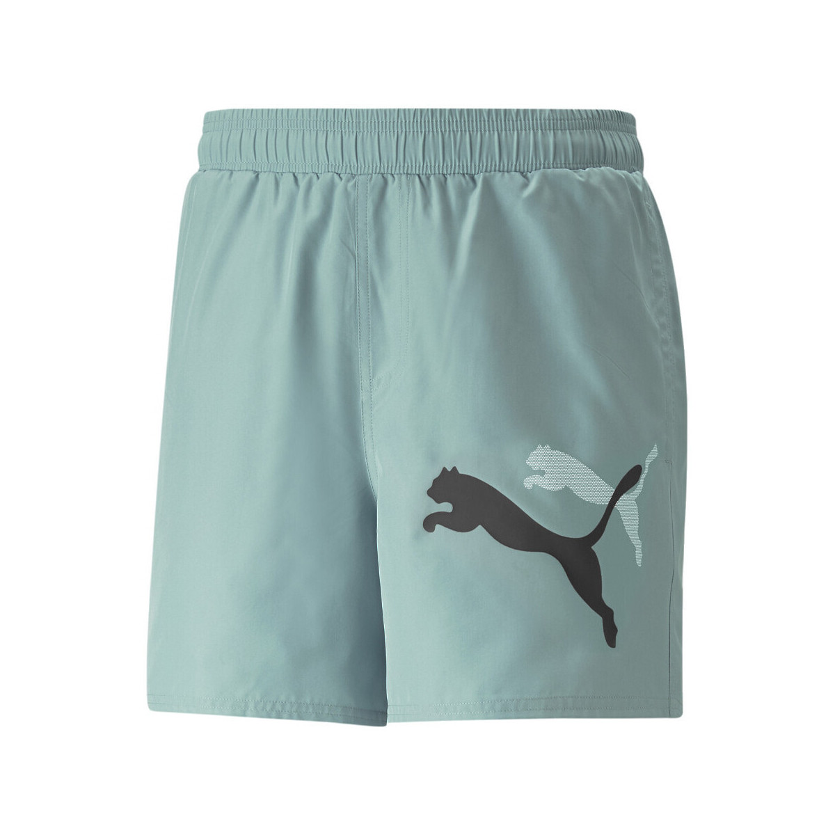 Kleidung Herren Shorts / Bermudas Puma 673382-84 Grün