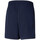Kleidung Herren Shorts / Bermudas Puma 520317-06 Blau