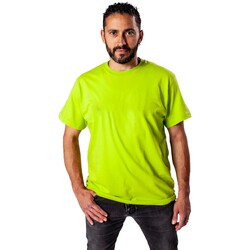 Kleidung Herren T-Shirts Kwon T-shirt Grün