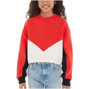 Kleidung Mädchen Sweatshirts Tommy Hilfiger  Multicolor