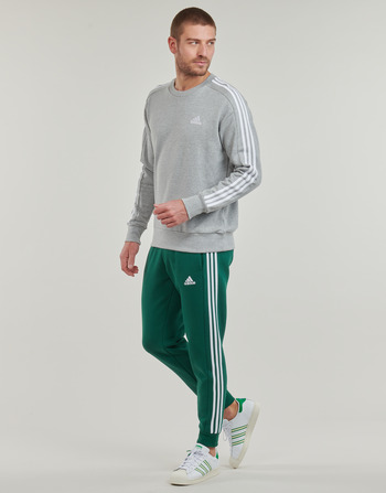Adidas Sportswear M 3S FL TC PT Grün / Weiss