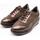 Schuhe Damen Derby-Schuhe & Richelieu Stonefly  Braun