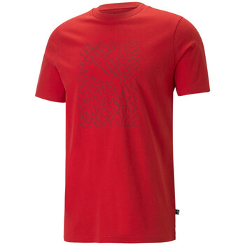 Kleidung Herren T-Shirts & Poloshirts Puma 674474-11 Rot