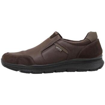Schuhe Herren Derby-Schuhe & Richelieu Imac 45256 Braun