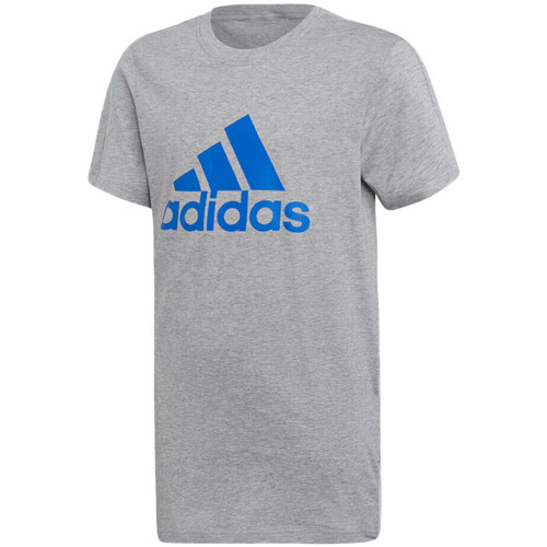 Kleidung Jungen T-Shirts & Poloshirts adidas Originals DJ1775 Grau
